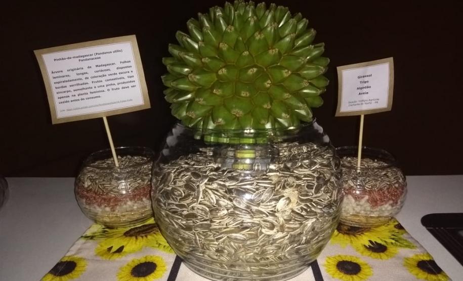 II Encontro de Formação Continuada para Professores da Educação do Campo